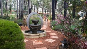 Perth homeopath 2