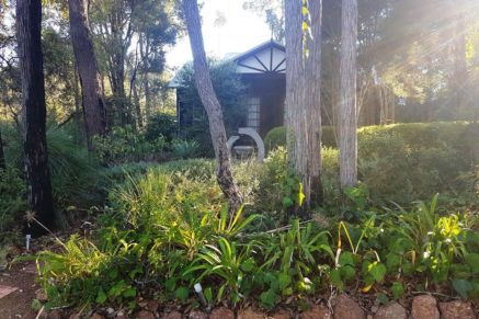 Perth homeopath feature