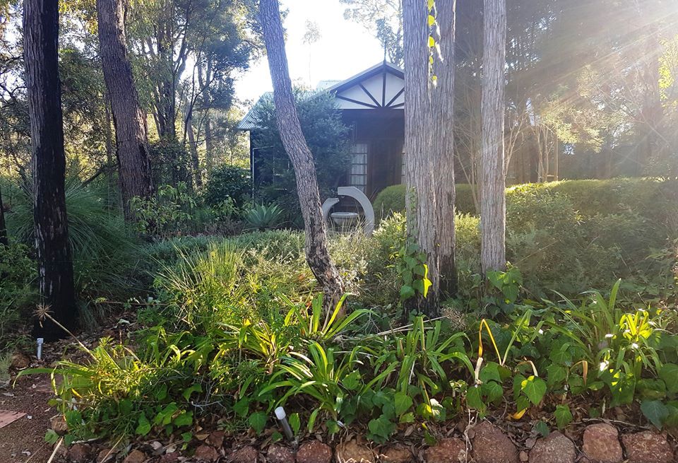 Perth homeopath feature