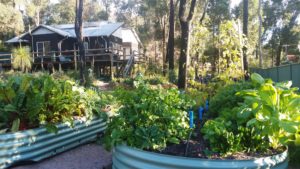 perth homeopath garden