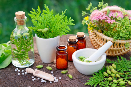 homeopathy research