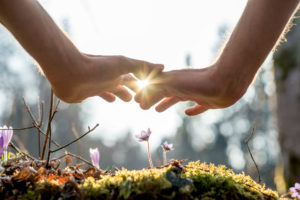 fertility diet & nutrition | Perth naturopath | homeopath